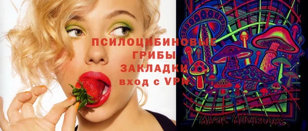 крисы Алзамай